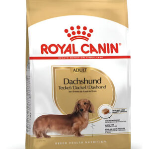 Royal Cannin Breed Health Nutrition Perro Dachshund Adult 1,5 kg