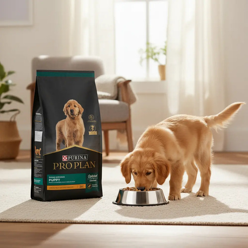 Purina Proplan dog Canine Raza Mediana Puppy 17,5 kg Sabor a Pollo