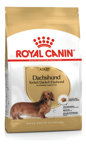 Royal Canin Breed Health Nutrition Perro Dachshund Adult 1,5 kg