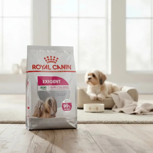Royal Canin Canine Care Nutrition Perro Mini Exigent 1 kg