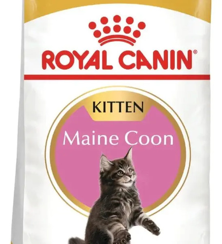 Royal Cannin Feline Breed Nutrition Dry Gato Maine Coon Kitten 4 kg