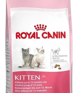 Royal Cannin Feline Health Nutrition Dry Gato Kitten 4 kg