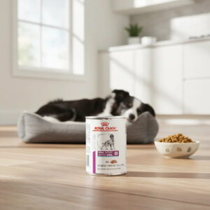 Royal Cannin Veterinary Diet Nutrition Wet Renal support E Dog Lata 0,385 kg